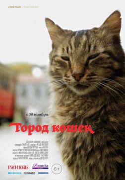 Фильм Город кошек (2016)