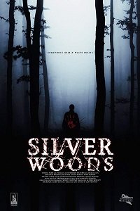 Постер Серебрянный лес (2017) Серебрянный лес (2017)