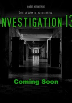 Расследование 13 (2019)
