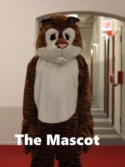   (2020)